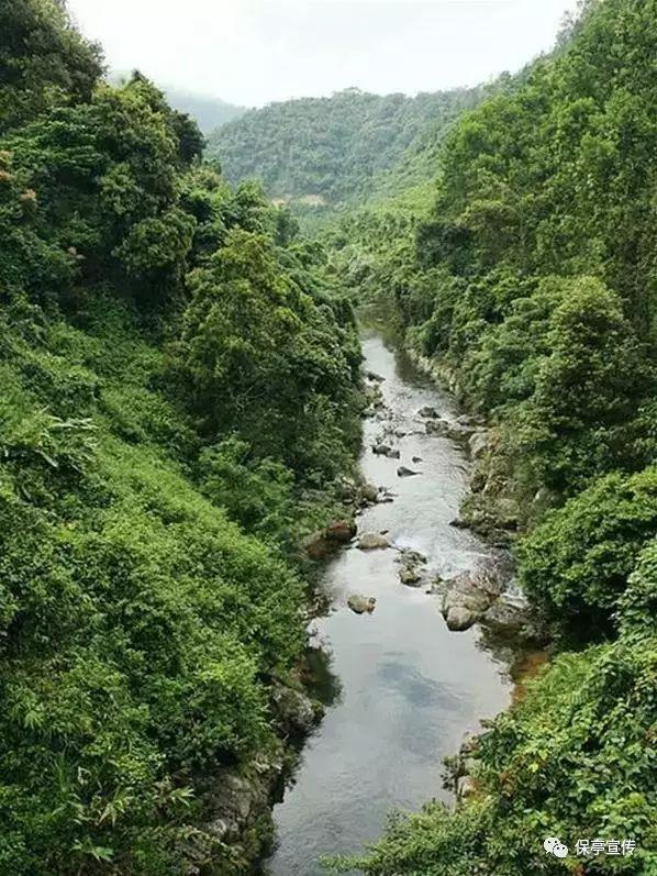 试衣服被嘲讽,店员遭公司“打脸”,这样的服务态度怎能留住顾客